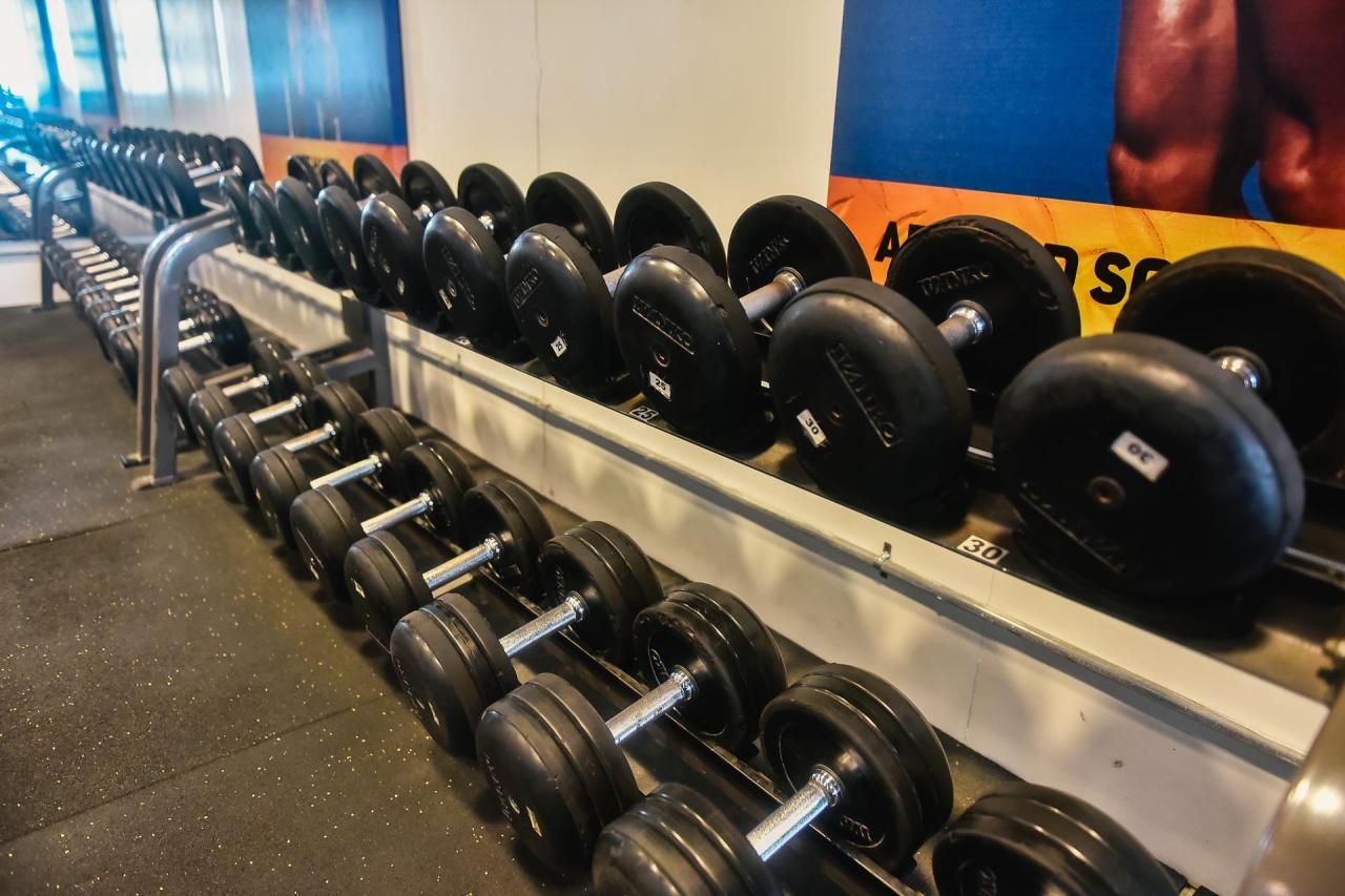 Best Exercise Equipment Stores in Brisbane - Top Exercise Equipments