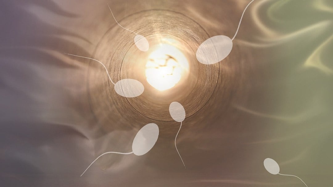 RESOLVE ~ The National Infertility Association - Advocacy Day